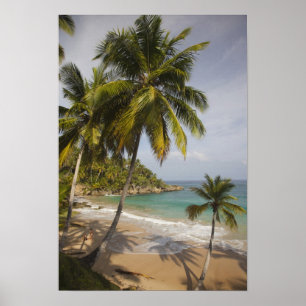 Dominican Republic, North Coast, Abreu, Playa Poster