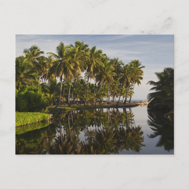 Dominican Republic, North Coast, Nagua, Playa Postcard (Front)