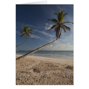 Dominican Republic, Punta Cana Region, Bavaro, 4