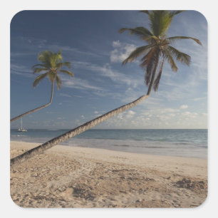Dominican Republic, Punta Cana Region, Bavaro, 4 Square Sticker