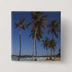 Dominican Republic, Punta Cana Region, El 15 Cm Square Badge