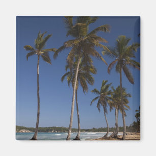 Dominican Republic, Punta Cana Region, El Magnet
