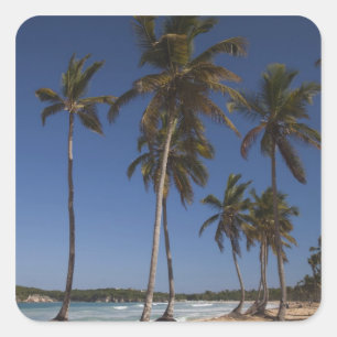Dominican Republic, Punta Cana Region, El Square Sticker