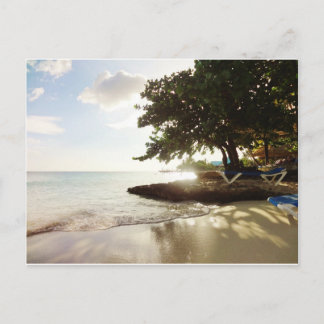 Dominican Republic Punta Canta Beach Postcard