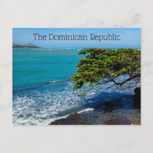 Dominican Shores   Puerto Plata Postcard