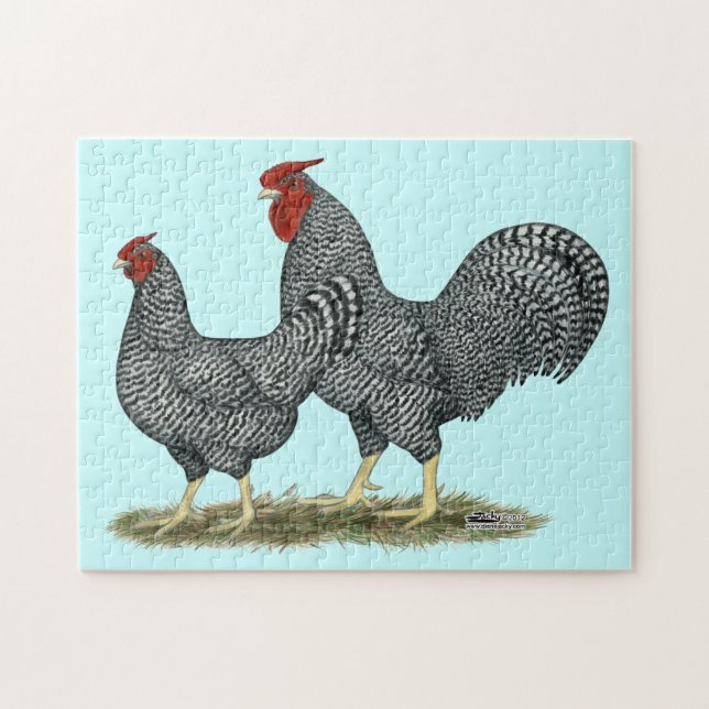 Dominique Chickens Jigsaw Puzzle (Horizontal)