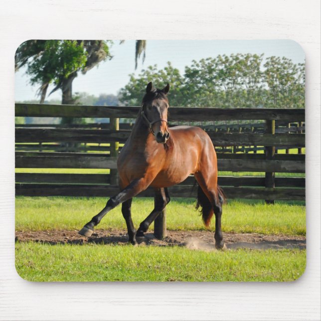 Don diego Side Pass Mouse Pad (Front)