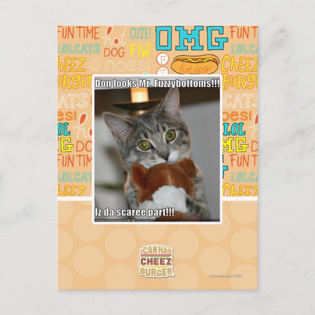 Don looks postcard (Front)