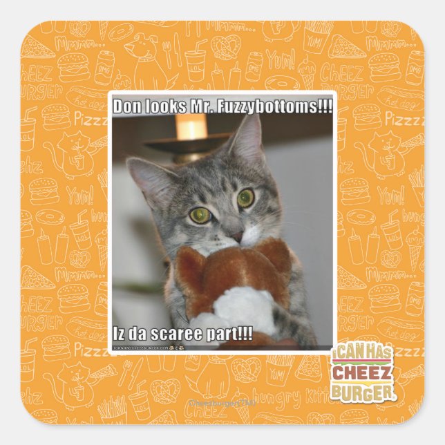 Don looks square sticker (Front)