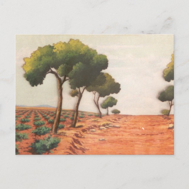 DON QUIXOTE- Cartoon animation Background (1979) Postcard (Front)