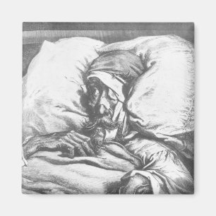 Don Quixote wounded Magnet