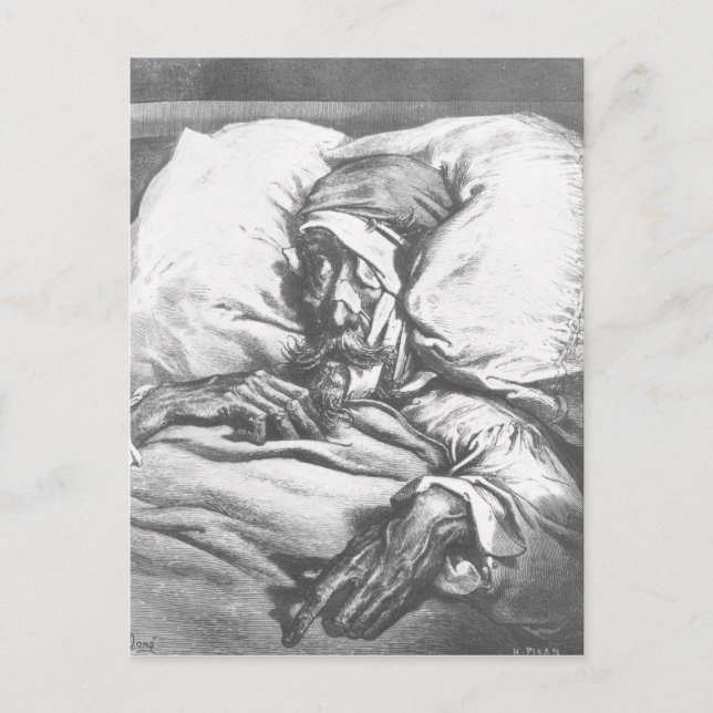 Don Quixote wounded Postcard (Front)