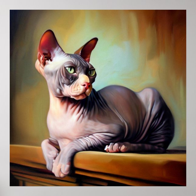 Don Sphynx Cat  Poster (Front)