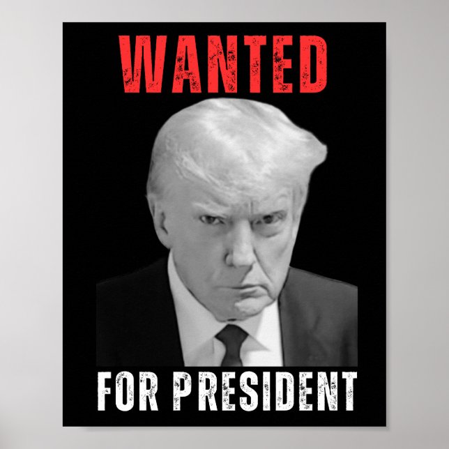 Donald Trump 2024 Wanted For President Poster (Front)