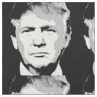 DONALD TRUMP BLOCK DESIGN