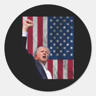 Donald Trump  Classic Round Sticker