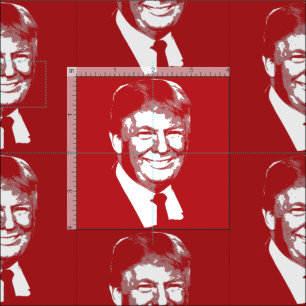 DONALD TRUMP FABRIC
