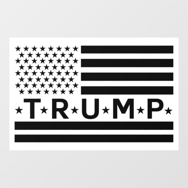 Donald Trump Flag 2024 Take America Back  (Sheet)