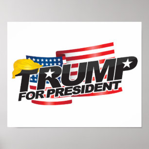 Donald Trump For President (with hair) Poster