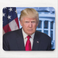 Donald Trump Official Presidential Portrait