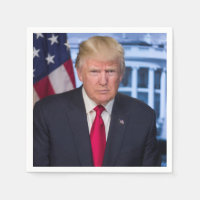 Donald Trump Official Presidential Portrait