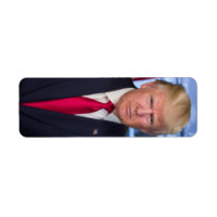 Donald Trump Official Presidential Portrait