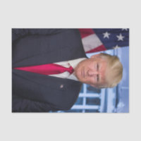 Donald Trump Official Presidential Portrait