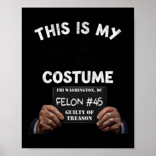 Donald Trump Prison Halloween Costume Poster
