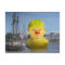 Donald Trump Rubber Yellow Duck Postcard