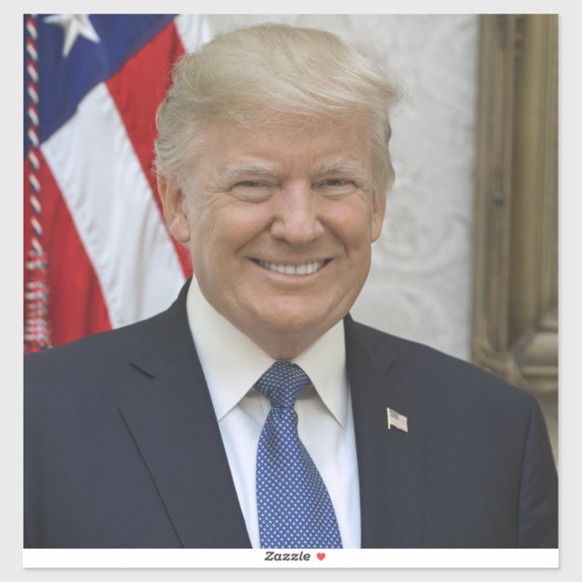 Donald Trump US President White House MAGA 2024  (Sheet)