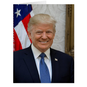 Donald Trump White House President Portrait
