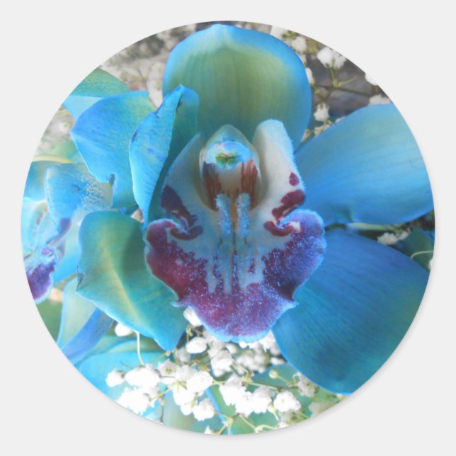 Donella Classic Round Sticker (Front)