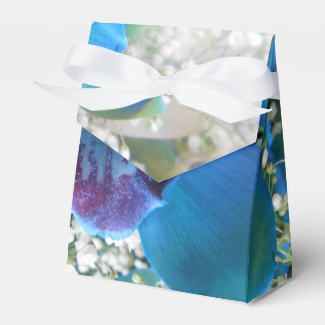 Donella Favour Box (Front Side)