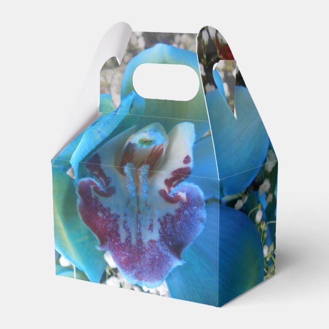 Donella Favour Box (Front Side)