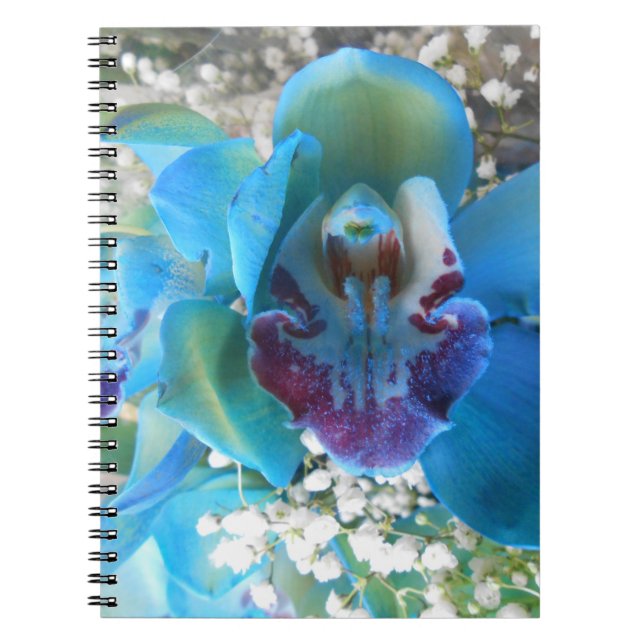 Donella Notebook (Front)