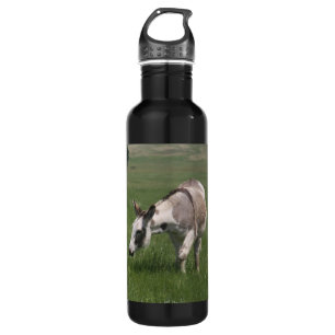 Donkey 710 Ml Water Bottle