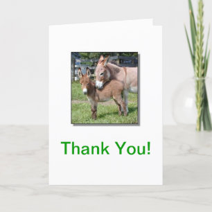 Donkey and Baby Thank You Card