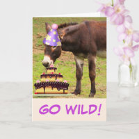 Donkey And Birthday Cake