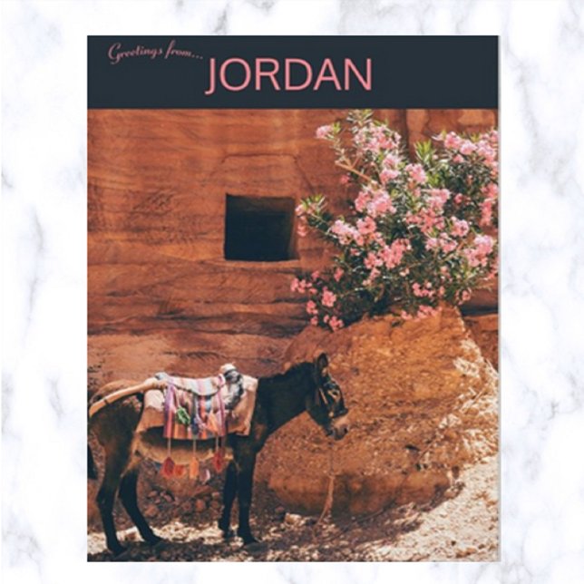 Donkey and Flowers in Wadi Musi Jordan Postcard (Creator Uploaded)