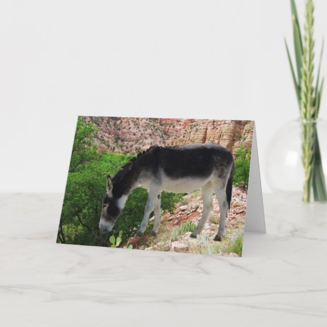 Donkey Animal Spirit Friend - Blank Card (Front)