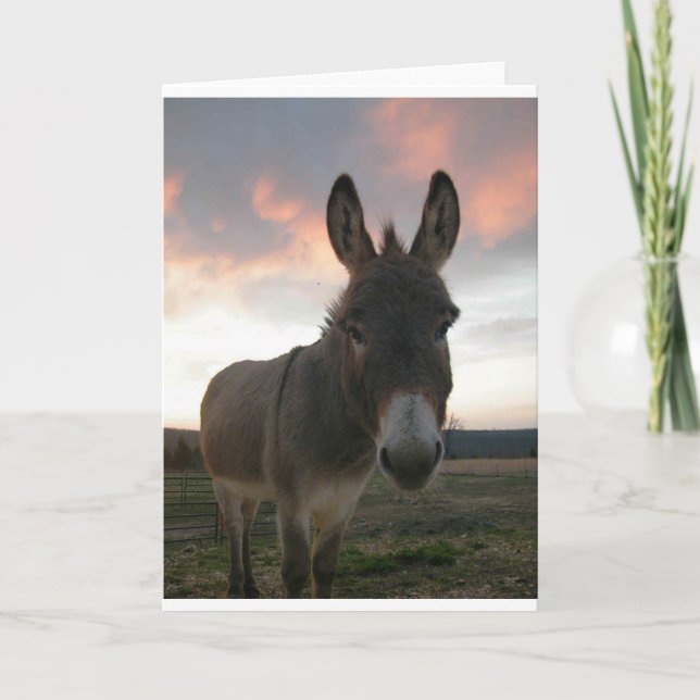 Donkey Art Card (Front)