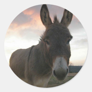 Donkey Art Classic Round Sticker
