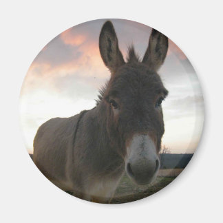 Donkey Art Magnet