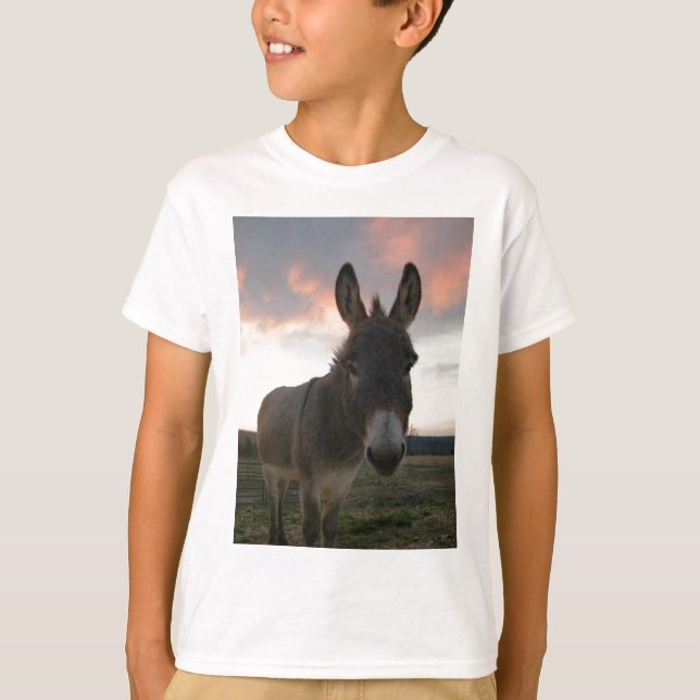 Donkey Art T-Shirt (Front)