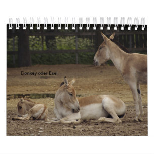 donkey as a calendar