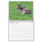 donkey as a calendar
