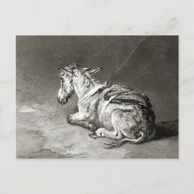 Donkey at Rest Postcard (Front)