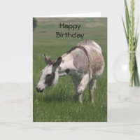 Donkey Birthday Card