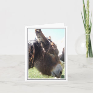 Donkey Blank Note Card