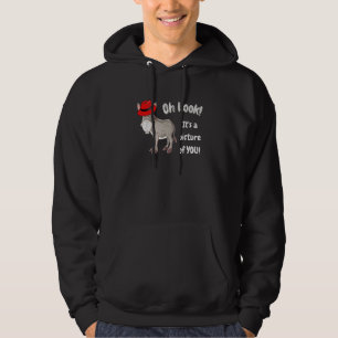 Donkey Burro Mule With Red Hat Fedora Hoodie